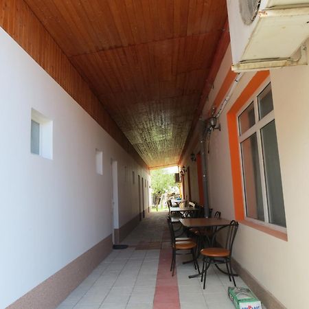 Pensiunea Cetina Brad  Εξωτερικό φωτογραφία