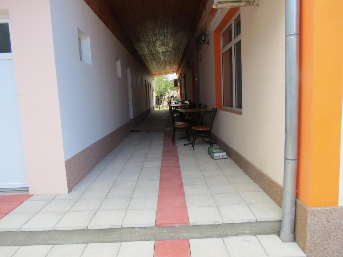 Pensiunea Cetina Brad  Εξωτερικό φωτογραφία