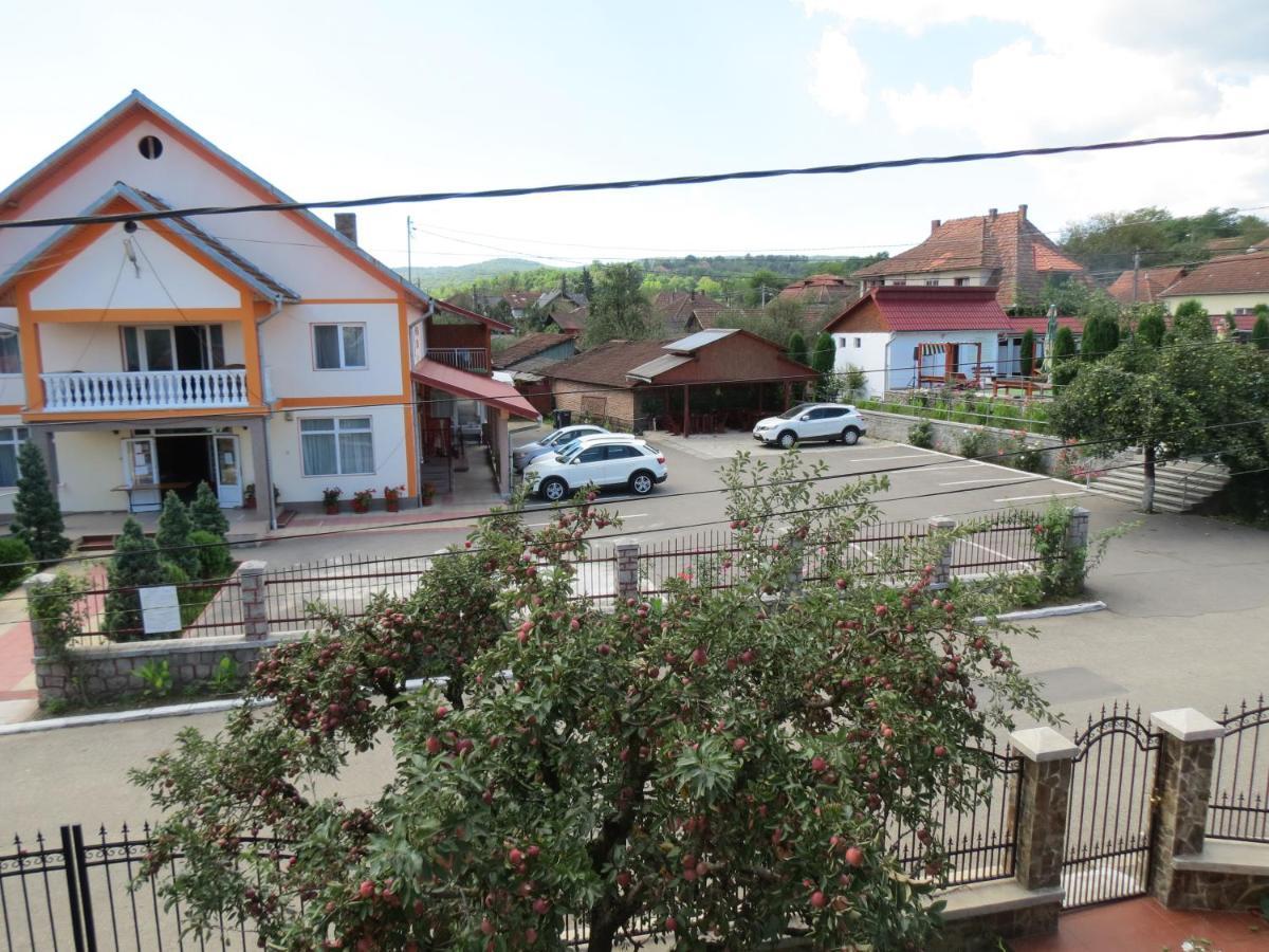 Pensiunea Cetina Brad  Εξωτερικό φωτογραφία