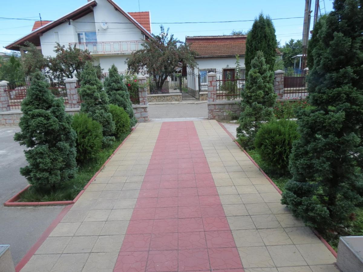 Pensiunea Cetina Brad  Εξωτερικό φωτογραφία