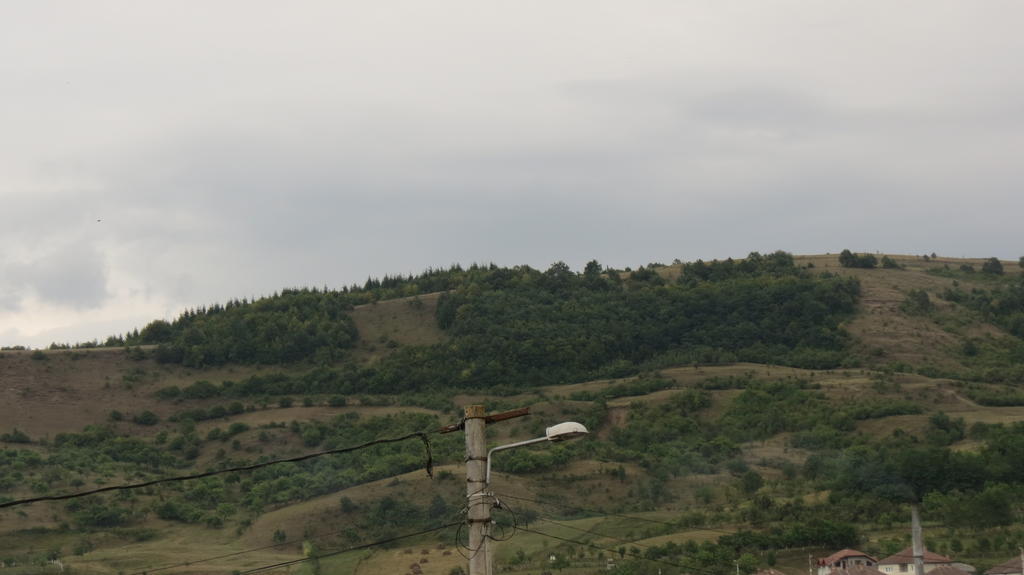 Pensiunea Cetina Brad  Εξωτερικό φωτογραφία